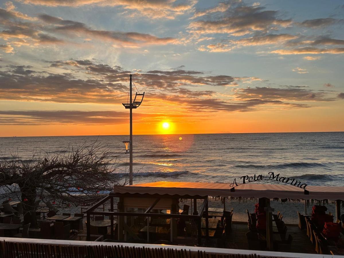 Studio Bord De Mer San-Nicolao Ngoại thất bức ảnh